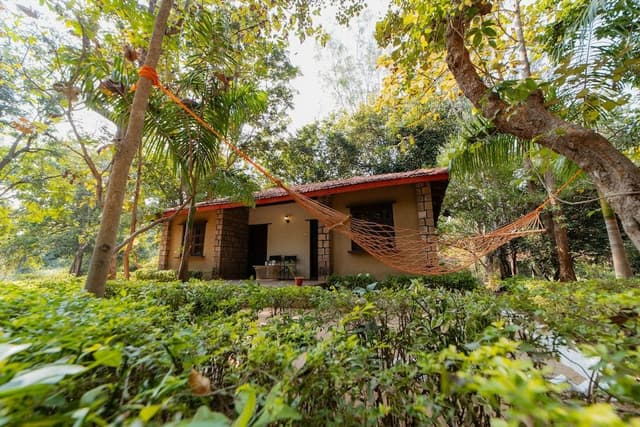 Deluxe Single Room, 1 Double Bed, Accessible, Lake View