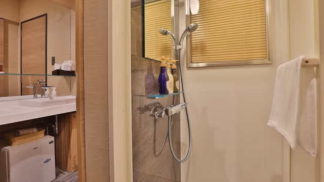 Single Room, Non Smoking, with Shower Booth