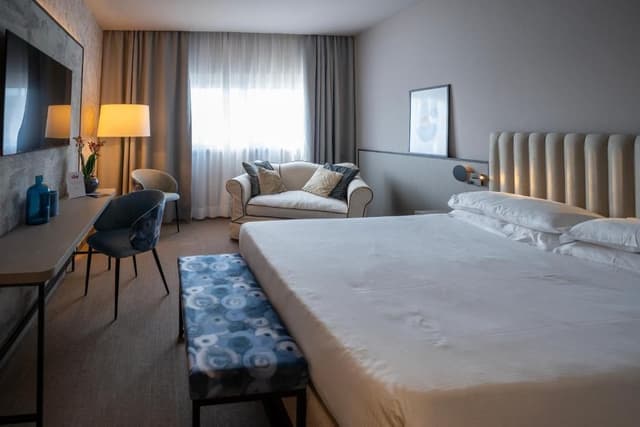 Executive Double or Twin Room