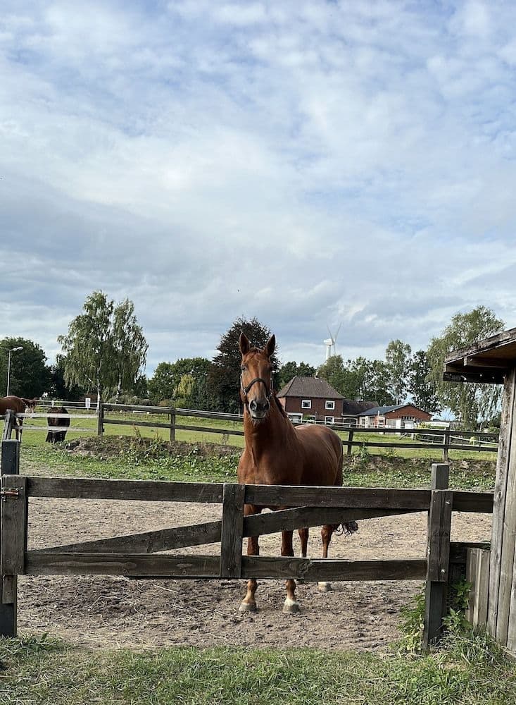 Vessens Hoff Wentziens Gasthof Vessens Hoff Wentziens Gasthof