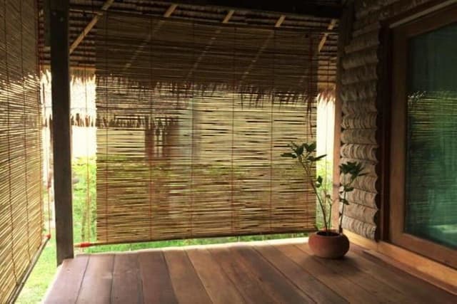Waterfront Forest Bungalow