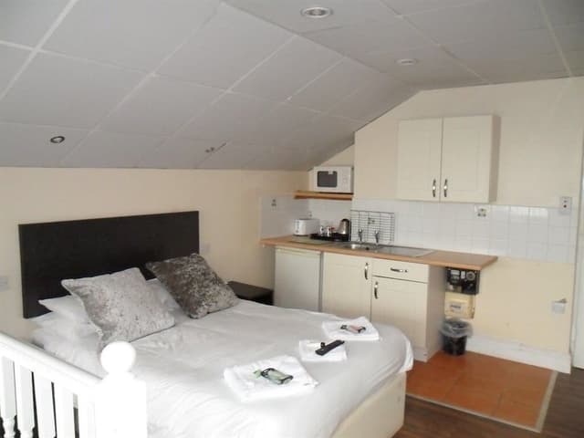 Deluxe Penthouse, Ensuite (Penthouse with kitchen)