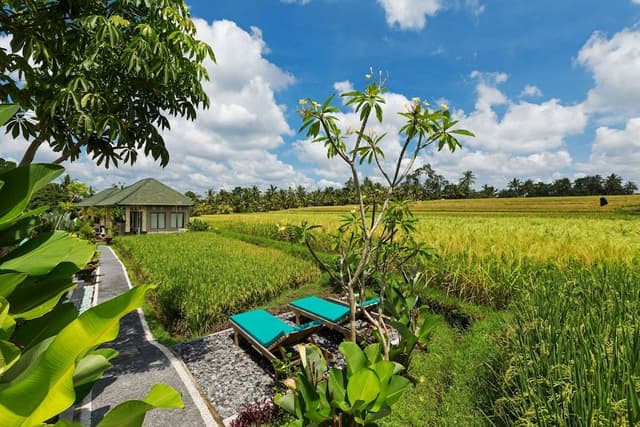 Family Villa, Multiple Beds