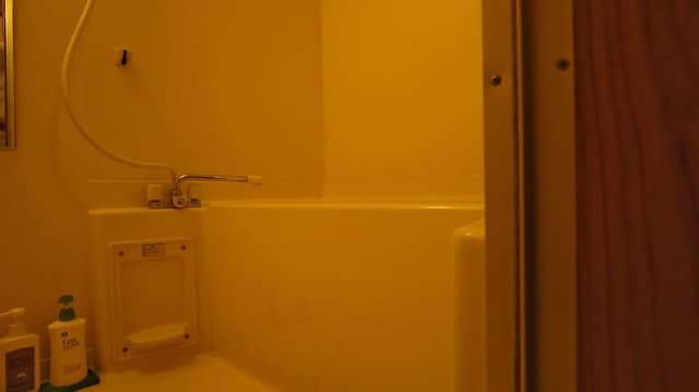 Japanese Style Room, 10 Tatami Mats with Private Bathroom
