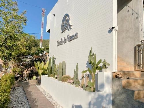 เช็คอิน รีสอร์ท เกาะล้าน (Check-in Resort Koh Larn)1