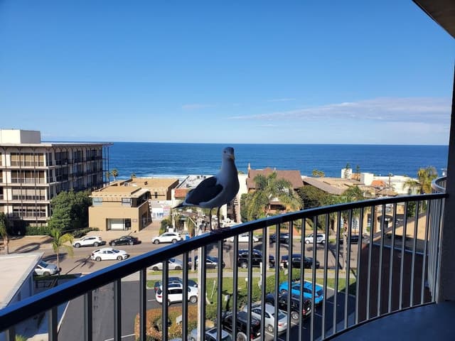 Superior Room, 1 King Bed, Balcony, Ocean View