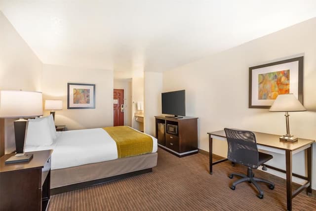 Standard Room, 1 King Bed, Non Smoking, Refrigerator