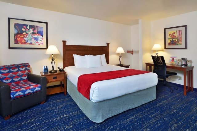 Single King Room, Accessible w/ Roll-In Shower