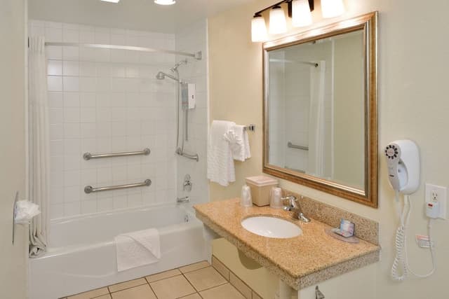 Single King Room, Accessible w/ Bathtub