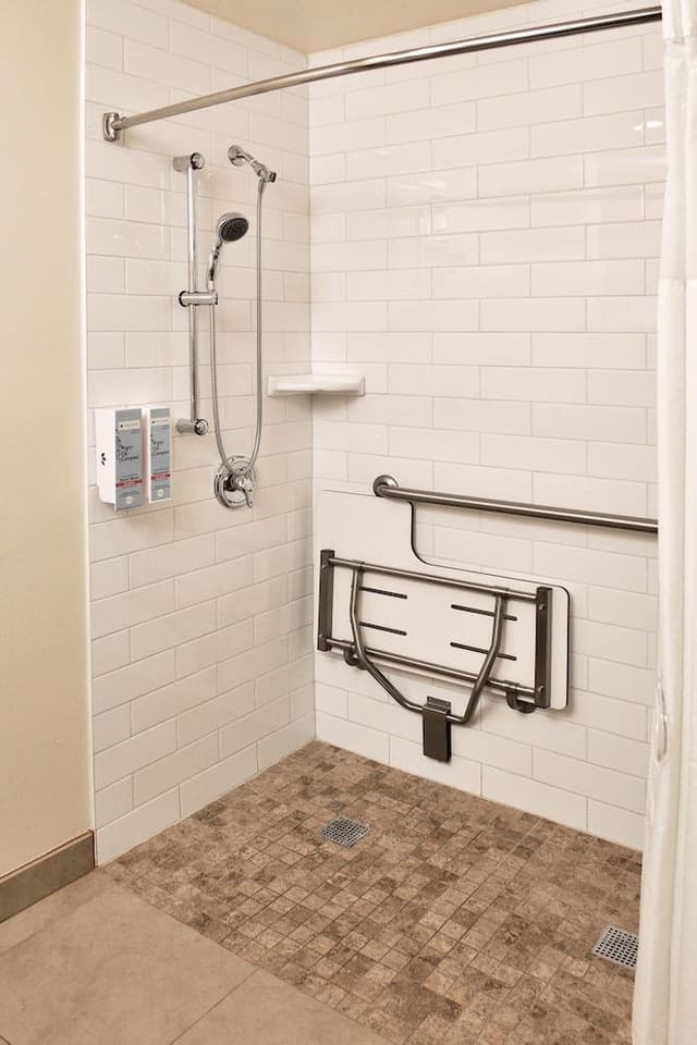 Single King Room, Accessible w/ Roll-In Shower