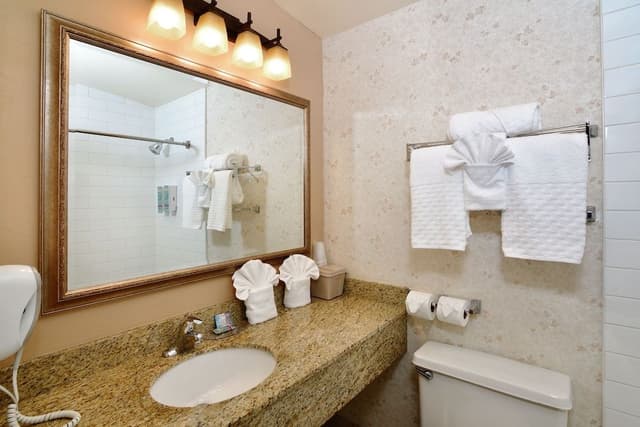 Single King Room, Accessible w/ Bathtub