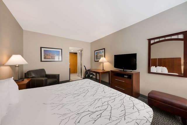 Standard Room, 1 King Bed, Non Smoking, Refrigerator & Microwave