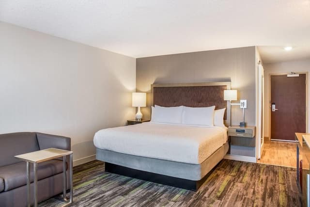 Deluxe Room, 1 King Bed with Sofa bed, Non Smoking