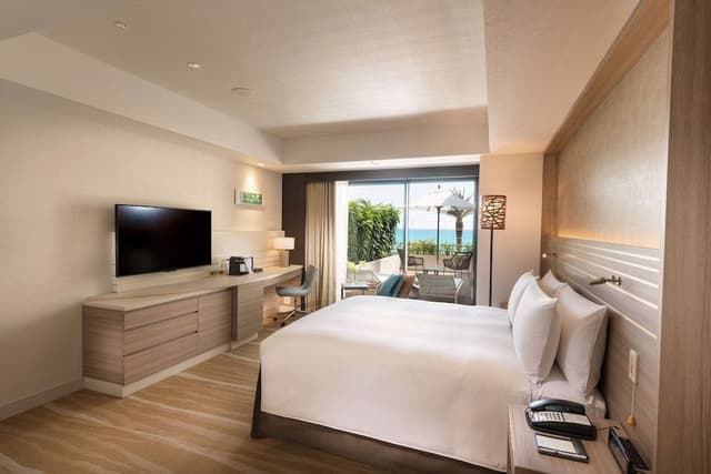 KING ACCESSIBLE ROOM