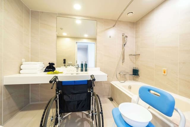 KING ACCESSIBLE ROOM