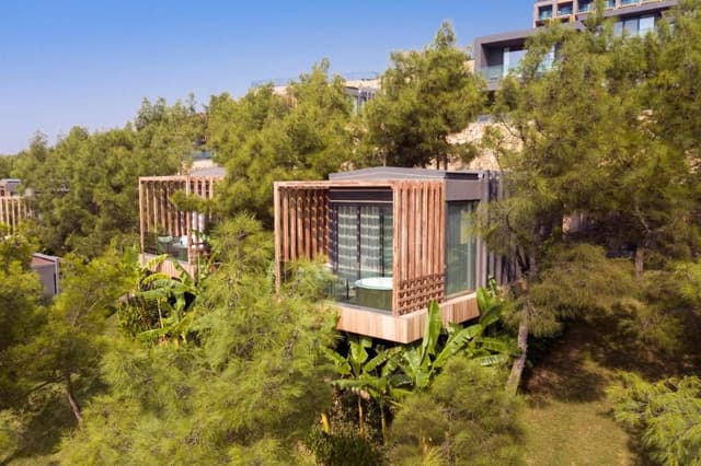 Forest Room with Sea View