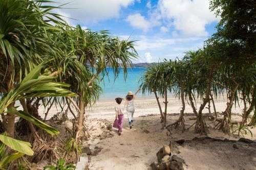 Native Sea Amami Adan On The Beach (Native Sea Amami Adan on the Beach)4