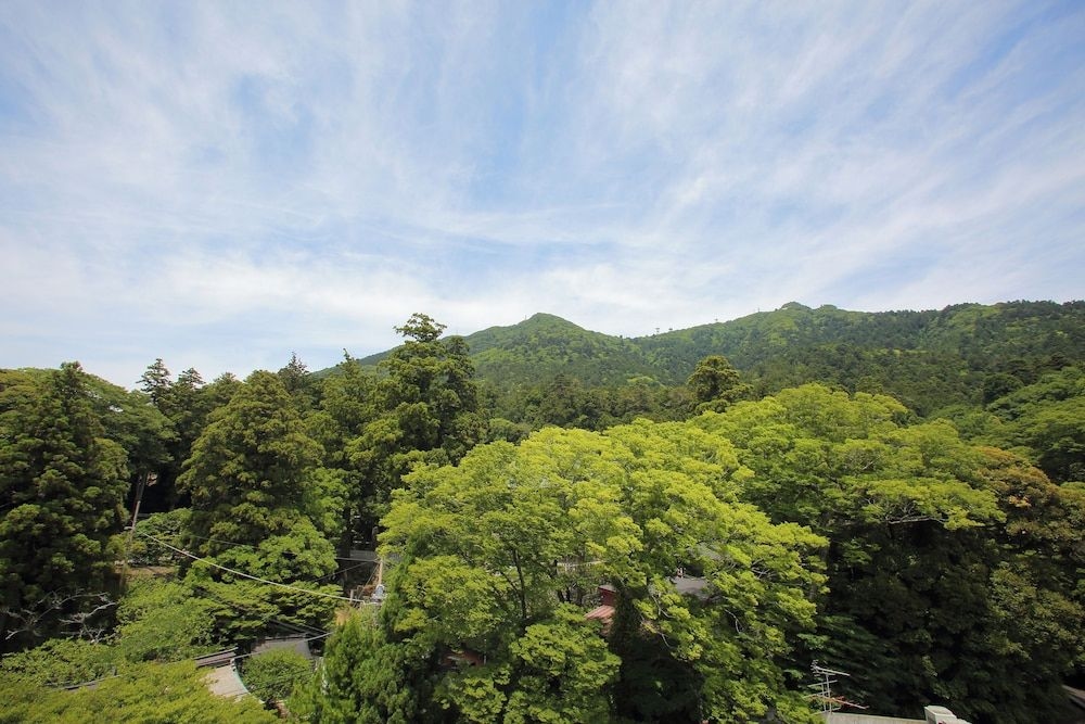 Tsukubasan Edoya1