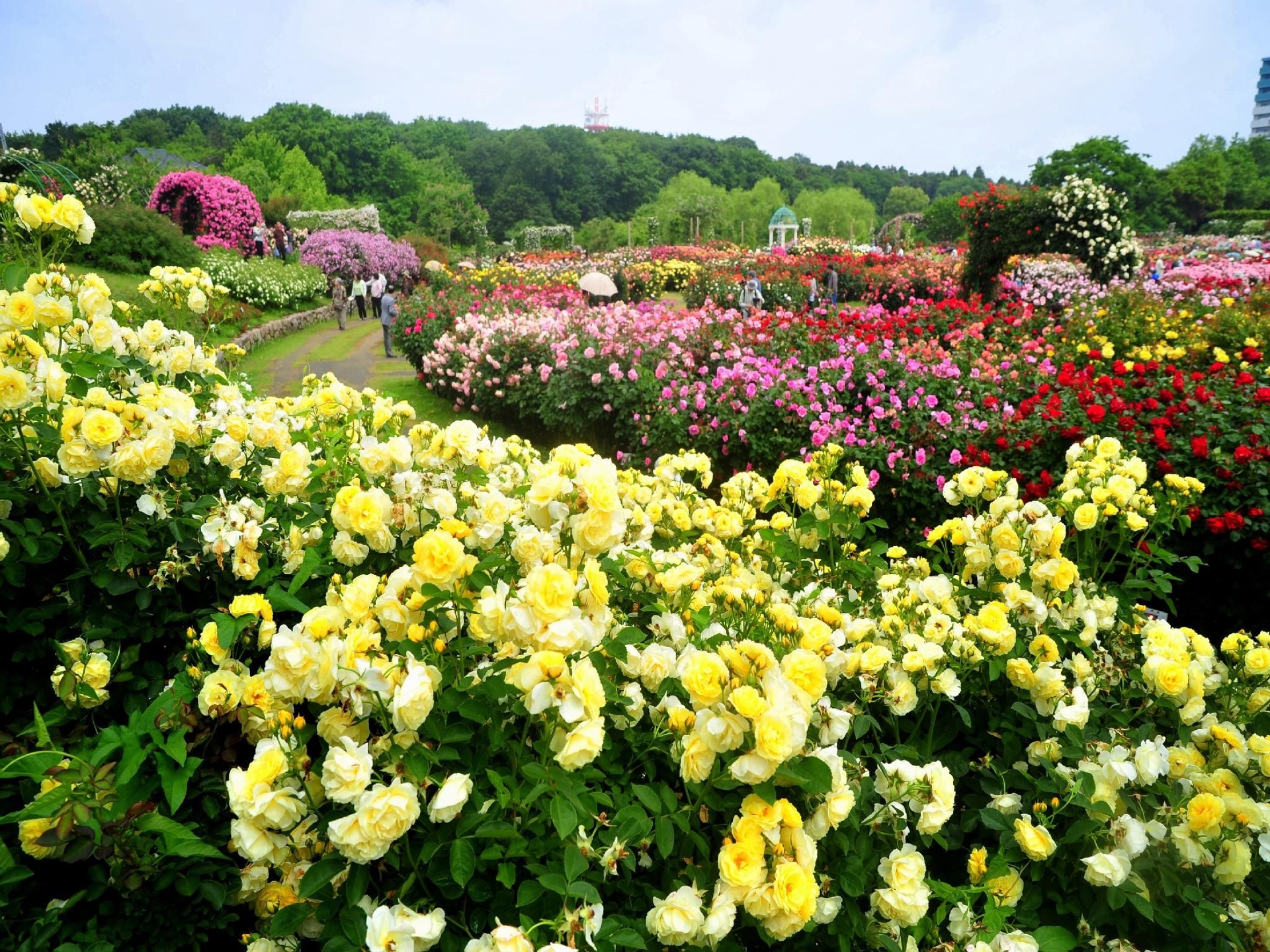 โรงแรมอะป้า ชิบะ-ยาชิโยะ-มิโดริงาโอกะ (APA Hotel Chiba-Yachiyo-Midorigaoka)3