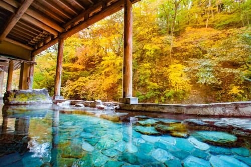 Shima Yamaguchikan3