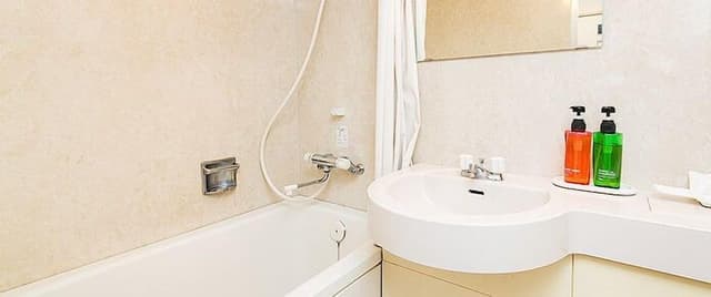 Basic Single Room, 1 Double Bed