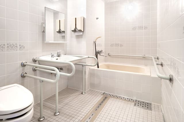 Accessible Room (With bath) Non Smoking