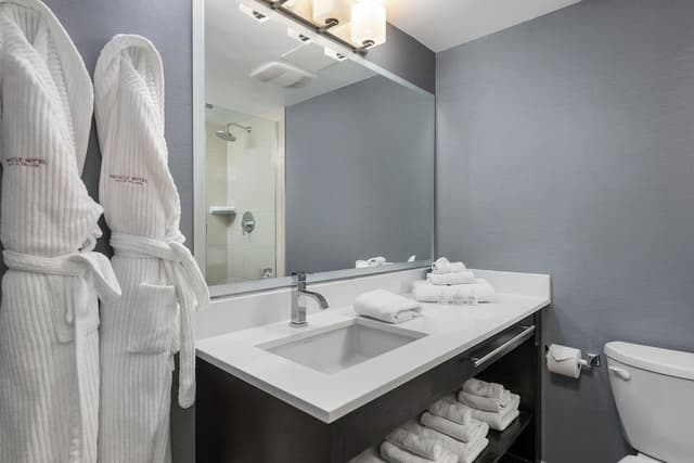 Premium Studio Suite, 1 Queen Bed with Sofa bed, Balcony, Mountain View - No Pets Allowed