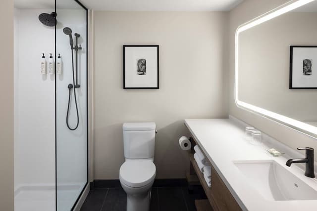 Elite Room, 1 King Bed, Harbor View