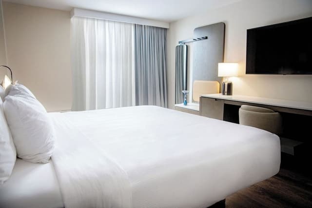 Elite Room, 1 King Bed, Harbor View