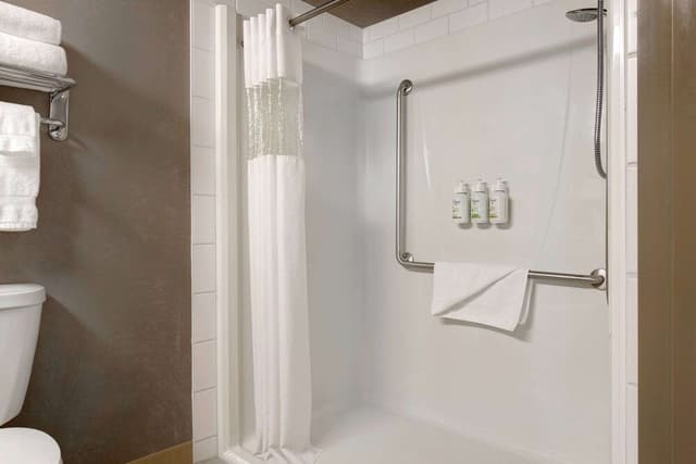 Accessible 1 Queen Bed Room with Sofa Bed