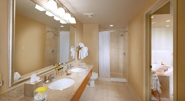 Business Suite, 1 King Bed with Sofa bed