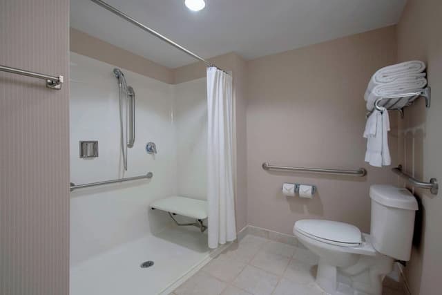 Room, 1 Queen Bed with Sofa bed (Accessible)