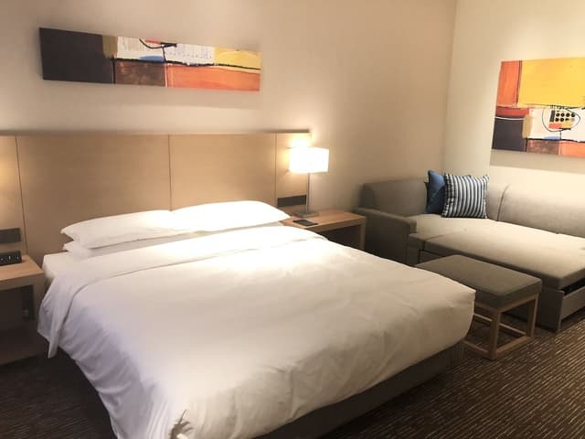 Room, 1 King Bed with Sofa bed