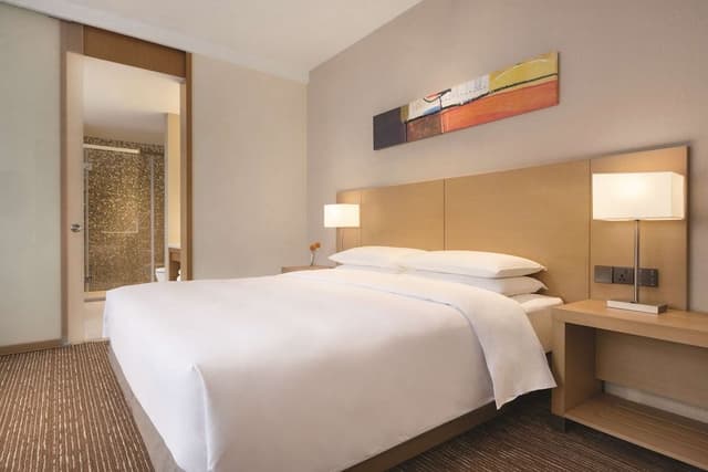 Suite, 1 King Bed with Sofa bed