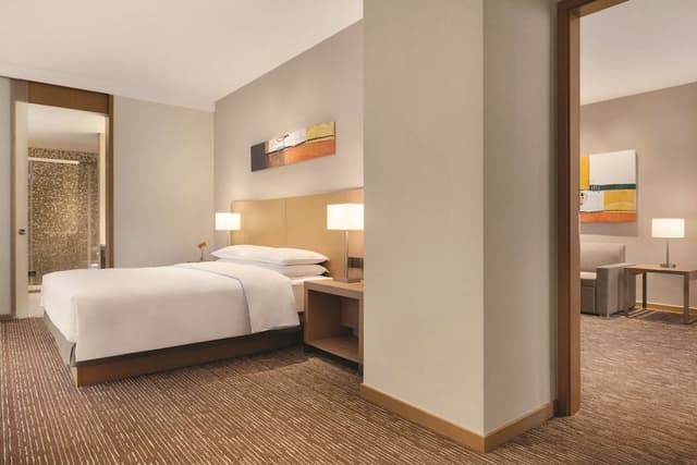 Suite, 1 King Bed with Sofa bed