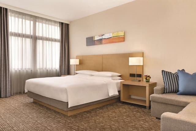 Room, 1 King Bed with Sofa bed