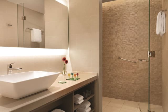Suite, 1 King Bed with Sofa bed