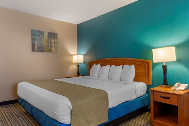 Standard Room, 1 King Bed, Accessible, Bathtub