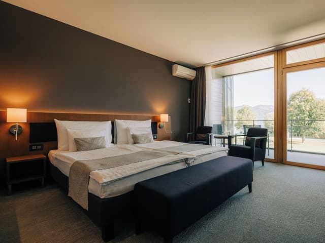 Superior Mountain View Double Room (barrier-free)