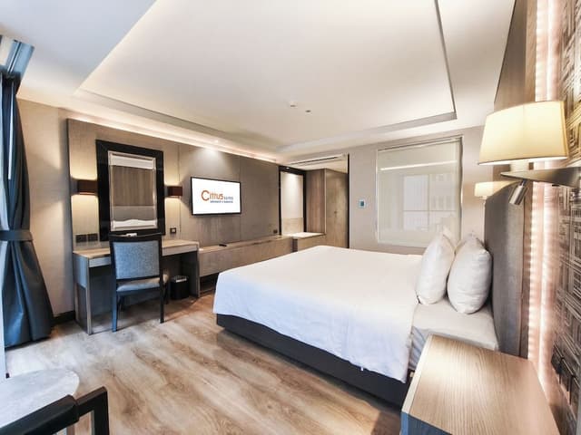One Bedroom Executive Suite King Bed