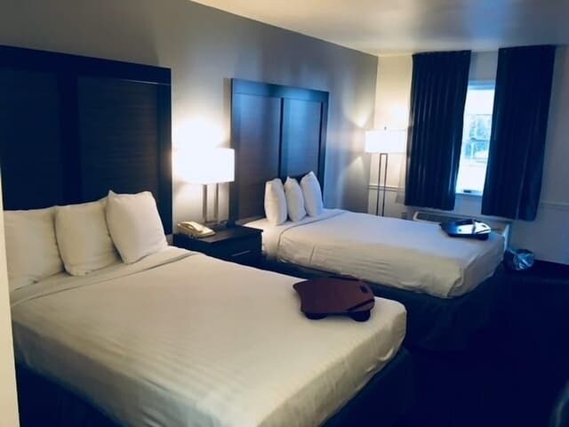 Standard Double Room, 2 Double Beds