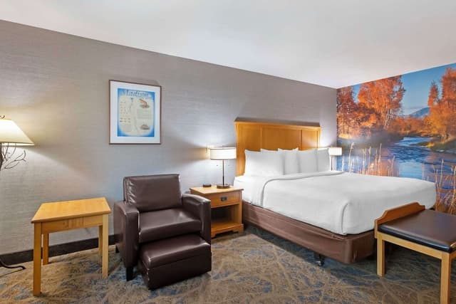 Standard Room, 1 King Bed, Accessible, Non Smoking