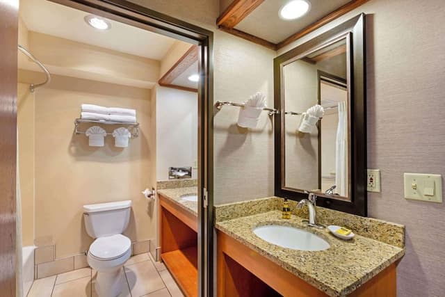 Suite, 1 King Bed, Non Smoking, Jetted Tub