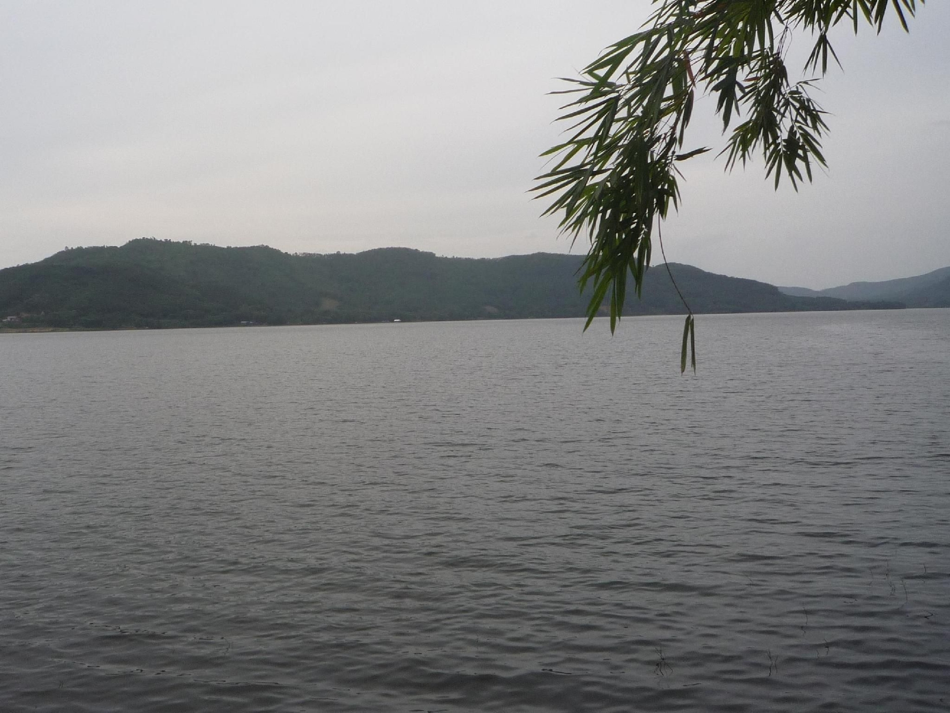 ชมดาว บ้านมานิษา (Chomdao Baan Manisa)2