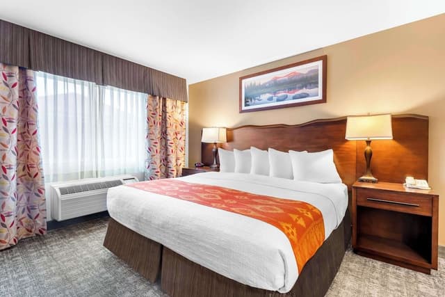 Standard Room, 1 King Bed, Non Smoking, Refrigerator & Microwave (Pet Friendly)