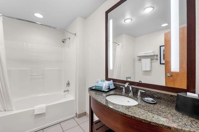 Standard Room, 1 King Bed, Non Smoking, Refrigerator & Microwave (Pet Friendly)