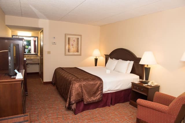 Standard Room, 1 King Bed, Accessible, Non Smoking