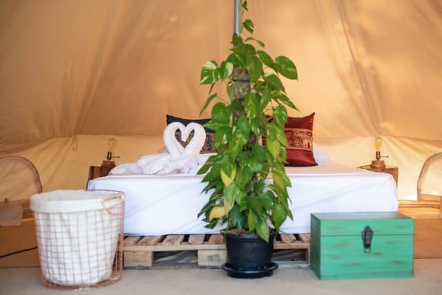 Premium Tent, Private Bathroom, Garden View