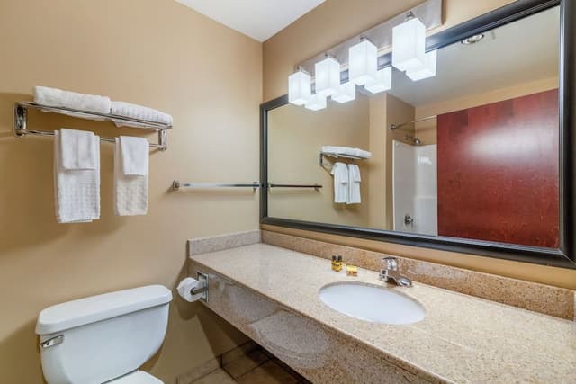 Superior Single Room, Refrigerator & Microwave