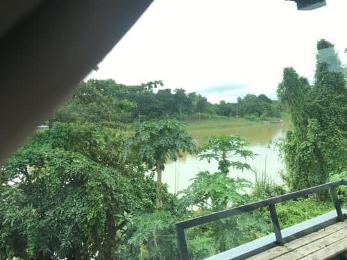 Pool View Room